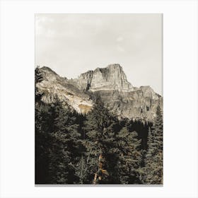 Gray Rocky Mountain Canvas Print