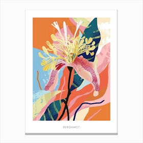 Colourful Flower Illustration Poster Bergamot 2 Canvas Print