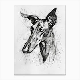 Ibizan Hound Dog Line Sketch  1 Canvas Print