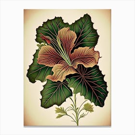 Hibiscus Leaf Vintage Botanical 3 Canvas Print