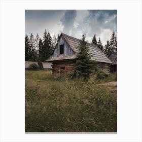 Abandoned Log Cabin Canvas Print