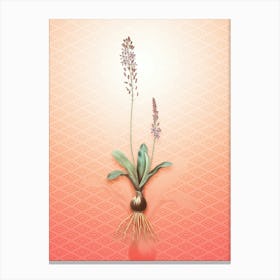 Scilla Obtusifolia Vintage Botanical in Peach Fuzz Hishi Diamond Pattern n.0280 Canvas Print