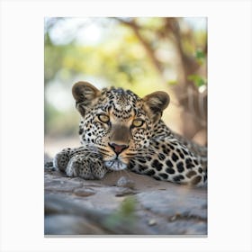 Leopard Canvas Print