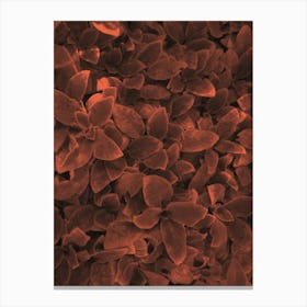 Close Up of Surreal Red Flowers Canvas Print