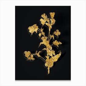 Vintage Commelina Tuberosa Botanical in Gold on Black n.0293 Canvas Print