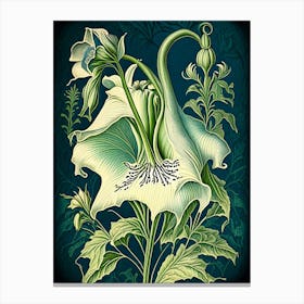 Canterbury Bell 1 Floral Botanical Vintage Poster Flower Canvas Print
