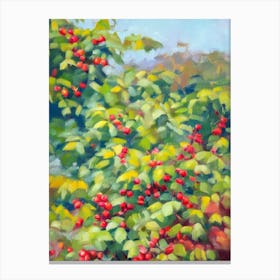 Coffee Plant Impressionist Painting Canvas Print