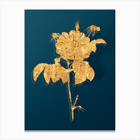 Vintage Speckled Provins Rose Botanical in Gold on Teal Blue n.0086 Canvas Print