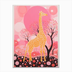 Giraffe With The Acacia Trees 2 Canvas Print
