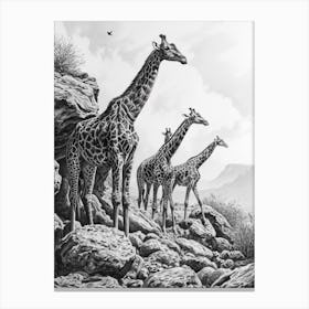 Herd Of Giraffe Pencil Portrait 4 Canvas Print