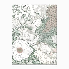 Mixed Perennial Beds Of Peonies 1 Drawing Canvas Print