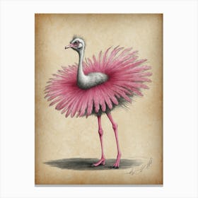 Ostrich With Pink Feathers Canvas Print