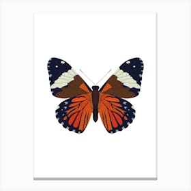 Hamadryas Butterfly Canvas Print