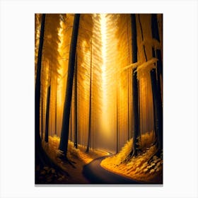 Road In The Forest 3 Canvas Print