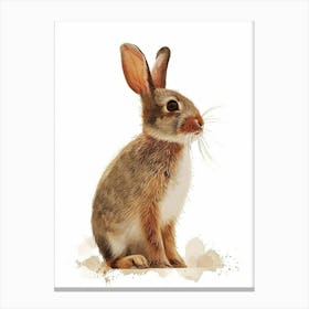 Britannia Petite Rabbit Nursery Illustration 2 Canvas Print