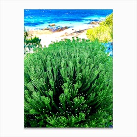 Natural Flora Found At the Beach and Ocean Canvas Print