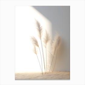 White Feathers Canvas Print