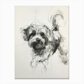 Lowchen Dog Charcoal Line 2 Canvas Print