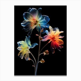 Flowers On A Black Background Canvas Print