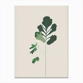 Cilantro Herb Simplicity 2 Canvas Print