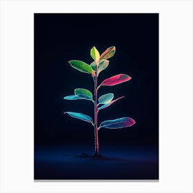 Neon Plant On Black Background 4 Canvas Print