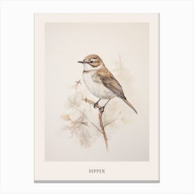 Vintage Bird Drawing Dipper 2 Poster Canvas Print