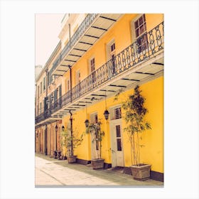 Yellow Exotic, New Orleans Canvas Print