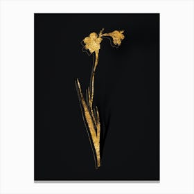 Vintage Sword Lily Botanical in Gold on Black n.0455 Canvas Print