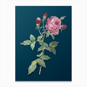 Vintage Provence Rose Botanical Art on Teal Blue Canvas Print