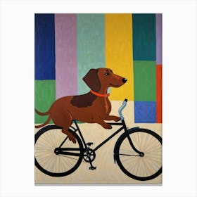 Dachshund On A Bike 1 Canvas Print