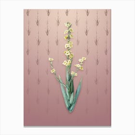 Vintage Pale Yellow Eyed Grass Botanical on Dusty Pink Pattern n.0056 Canvas Print