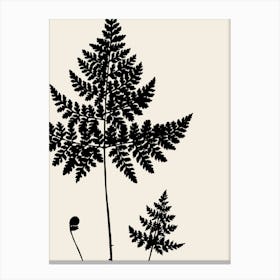 Fern Leaves in Black, Farmhouse Botanical 2 Canvas Print