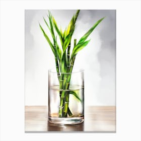 Bamboo In Astraight Glass Canvas Print