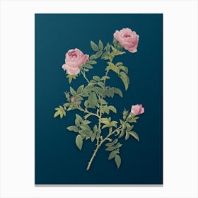 Acdzp Vintage Rose Of The Hedges Botanical Art On Teal Blue N Canvas Print