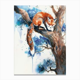 Red Fox In The Tree Canvas Print
