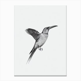 Raven B&W Pencil Drawing 3 Bird Canvas Print