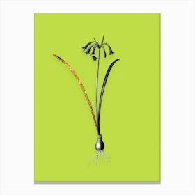 Vintage Brandlelie Black and White Gold Leaf Floral Art on Chartreuse n.0069 Canvas Print