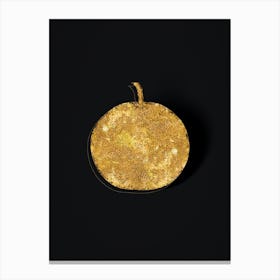 Vintage Adam's Apple Botanical in Gold on Black n.0227 Canvas Print