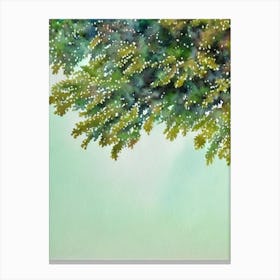 Acropora Yongei Iiii Storybook Watercolour Canvas Print