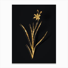 Vintage Ixia Anemonae Flora Botanical in Gold on Black n.0526 Canvas Print