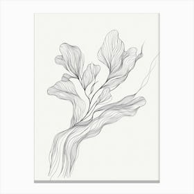 Kelp Leaves Canvas Print