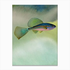 Bluestreak Cleaner Wrasse Storybook Watercolour Canvas Print