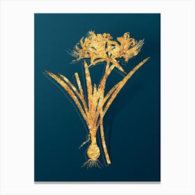 Vintage Golden Hurricane Lily Botanical in Gold on Teal Blue n.0154 Canvas Print