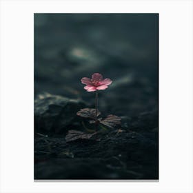 Flower In The Dark 51 Canvas Print