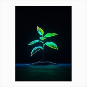 Green Plant On A Black Background 1 Canvas Print