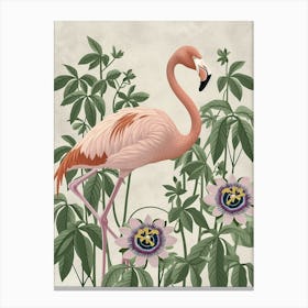 Lesser Flamingo And Passionflowers Minimalist Illustration 1 Canvas Print