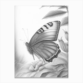 Butterfly In Garden Greyscale Sketch 1 Canvas Print