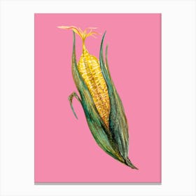 Corn on the cob Watercolour Illustration kitchen Canvas Print