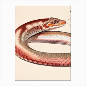 Copperhead Snake 1 Vintage Canvas Print