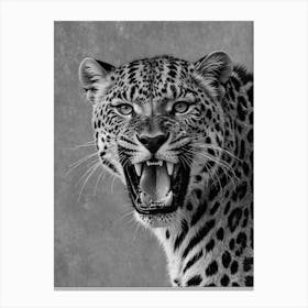 Lepard Portrait Black And White Canvas Print